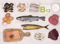 b12-food-1